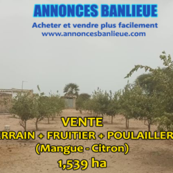 vente.terrain.annoncesbanlieue.com.grandes.surfaces