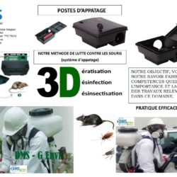 Traitement Phyto & abords